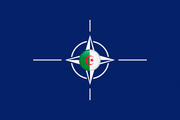حلف “الناتو” يهدد الجزائر..؟!